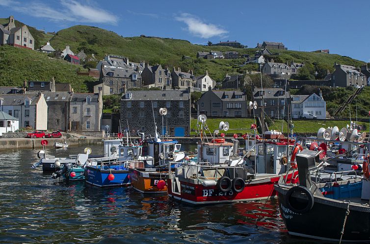 Vakantiehuis Ellie-Jo Cottage