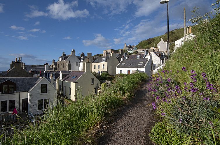 Vakantiehuis Ellie-Jo Cottage