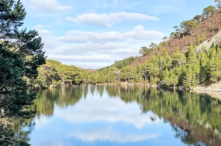 Vakantiehuis 2 Railway Cottage