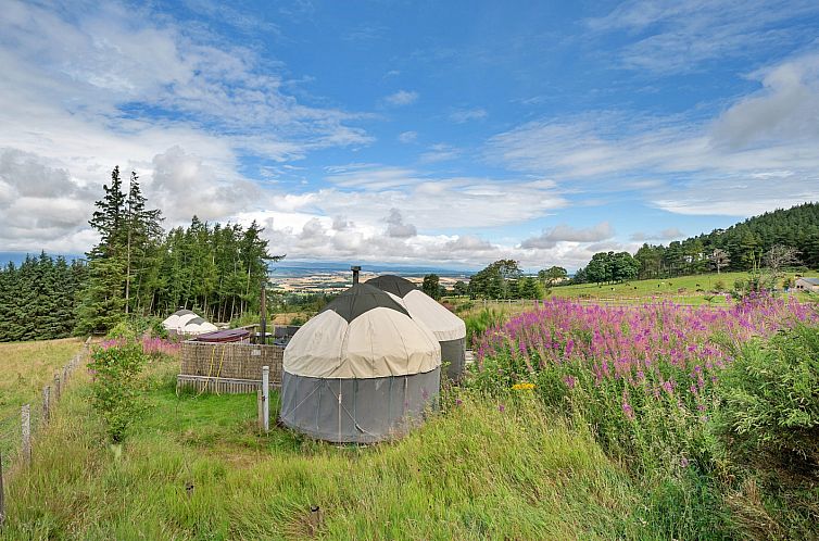 Unterkunft 06819401 - Ferienhaus Schottland - «Bramble Yurt»