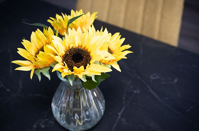 Appartement Harbour Nights Deluxe 7C