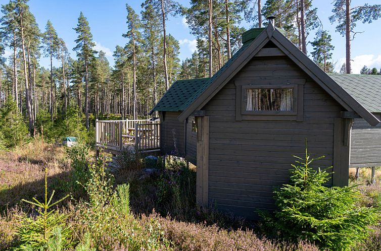 Vakantiehuis Birch Bothy