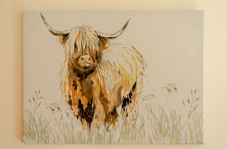 Vakantiehuis Doonans Cottage