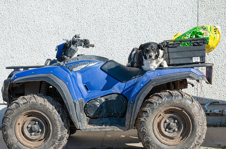 Appartement Crofters View