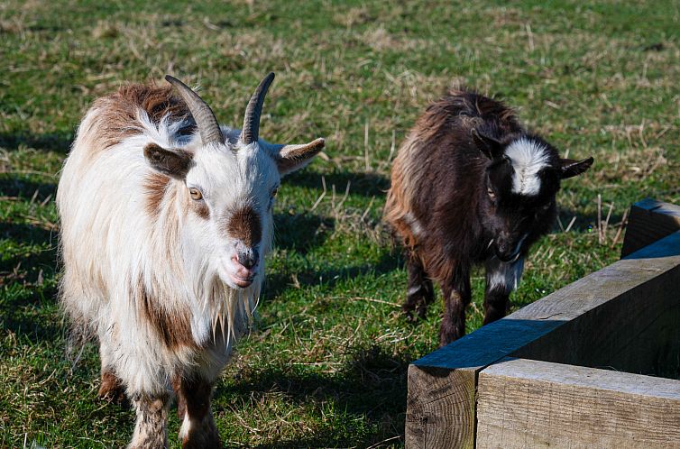 Appartement Crofters View