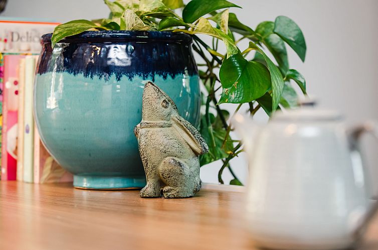 Vakantiehuis The Cabin