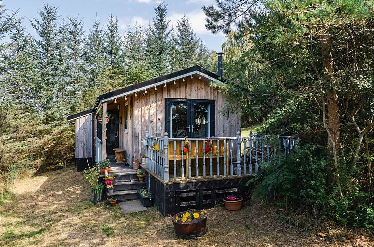 Vakantiehuis The Cabin