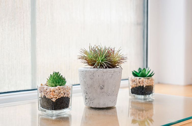 Appartement Old Dairy