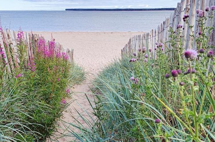 Appartement "Die Mündungswohnung"