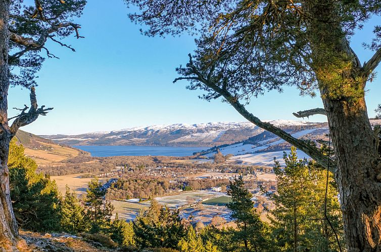 Vakantiehuis Coach House