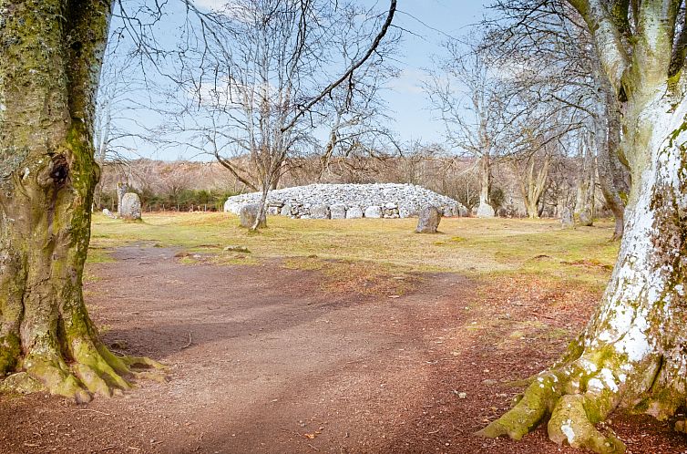 Vakantiehuis Bear Cabin