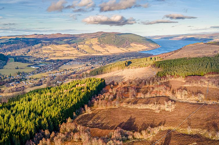 Vakantiehuis Bear Cabin