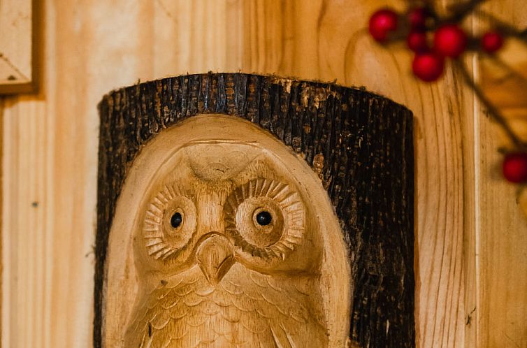 Vakantiehuis Shepherds Hut