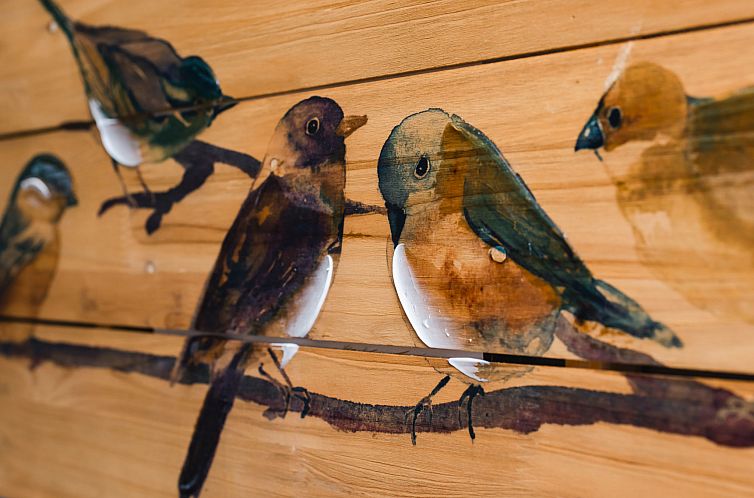 Vakantiehuis Springbank Lodge