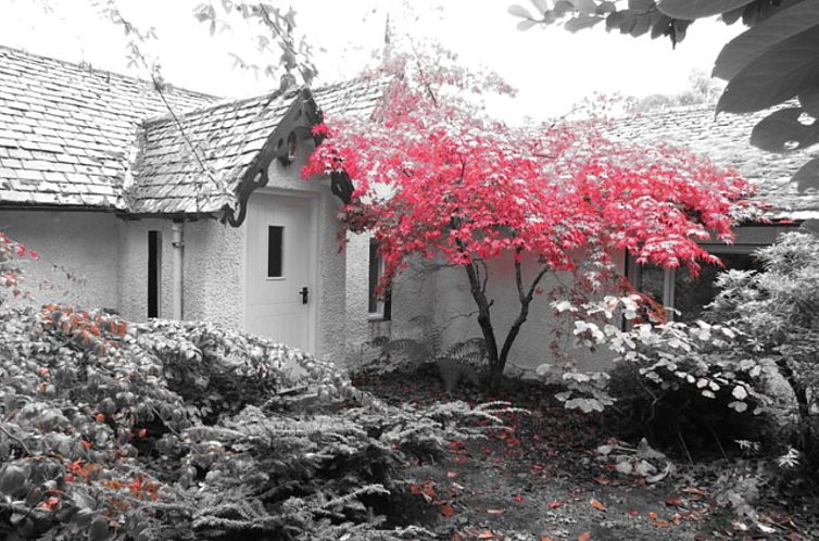 Vakantiehuis Dhivach Lodge