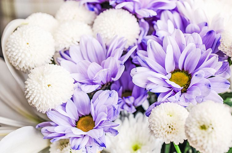 Vakantiehuis Bunloit Farmhouse