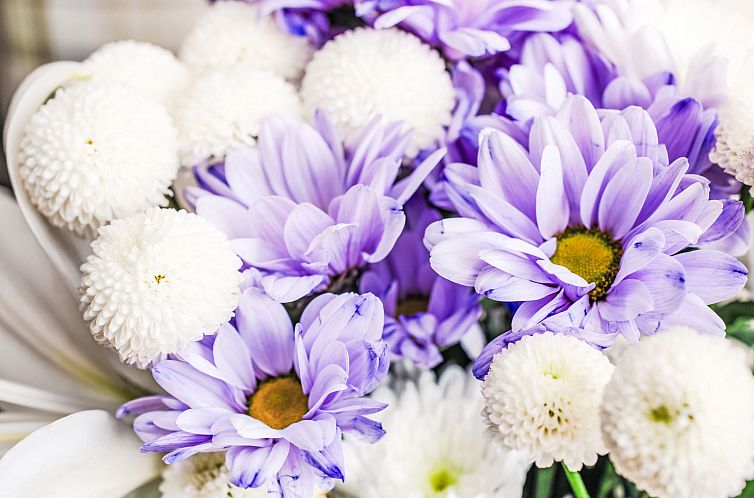 Vakantiehuis Wester Bunloit