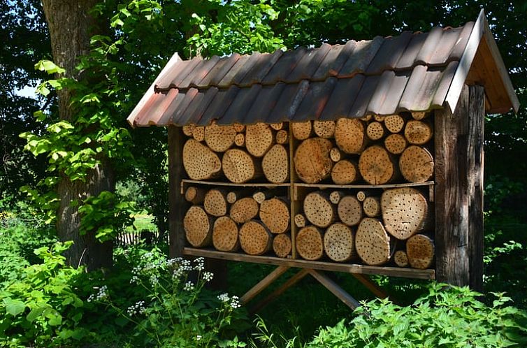 Vakantiehuis in Wodecq