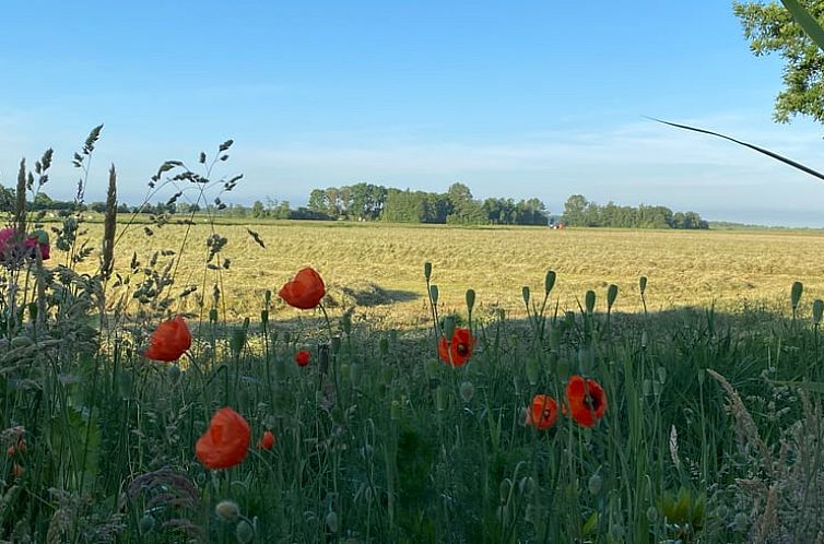 Vakantiehuisje in Oudega