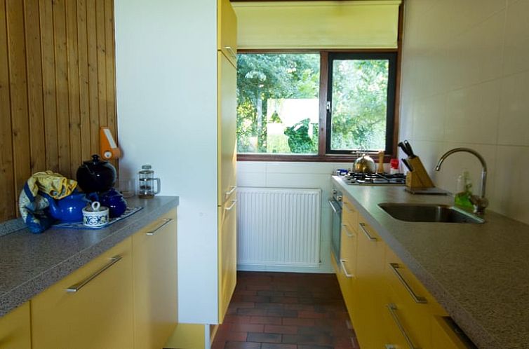 Vakantiehuis in Oudega