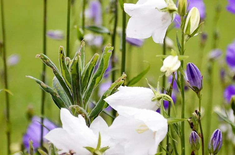 Vakantiehuisje in Sautin