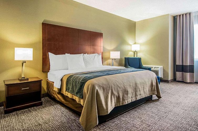 Comfort Inn Atlanta Downtown