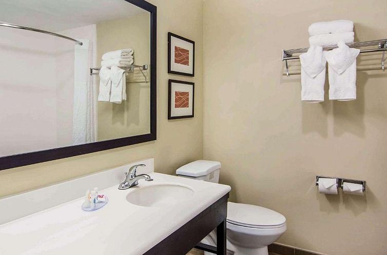 Comfort Inn Atlanta Downtown