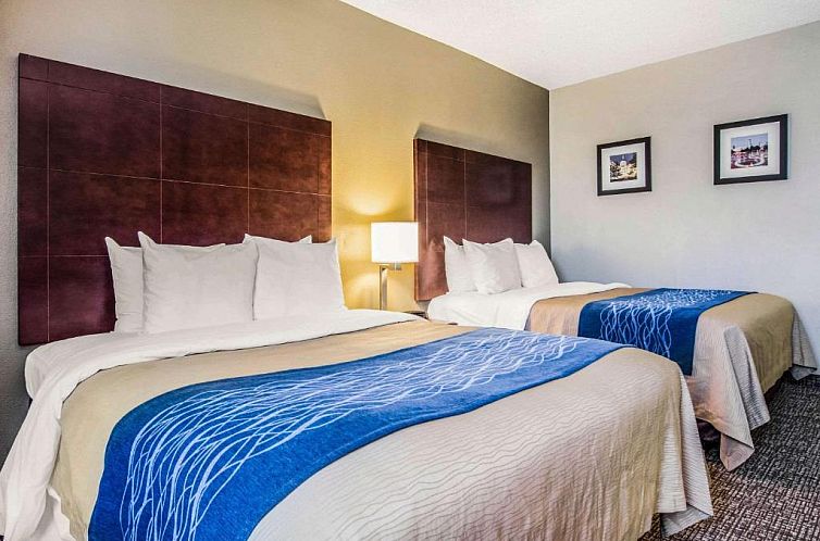 Comfort Inn Atlanta Downtown