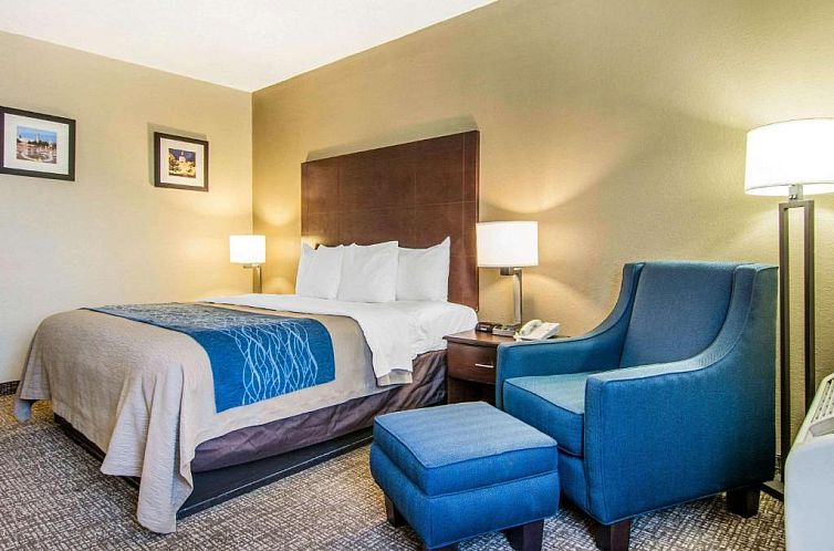 Comfort Inn Atlanta Downtown