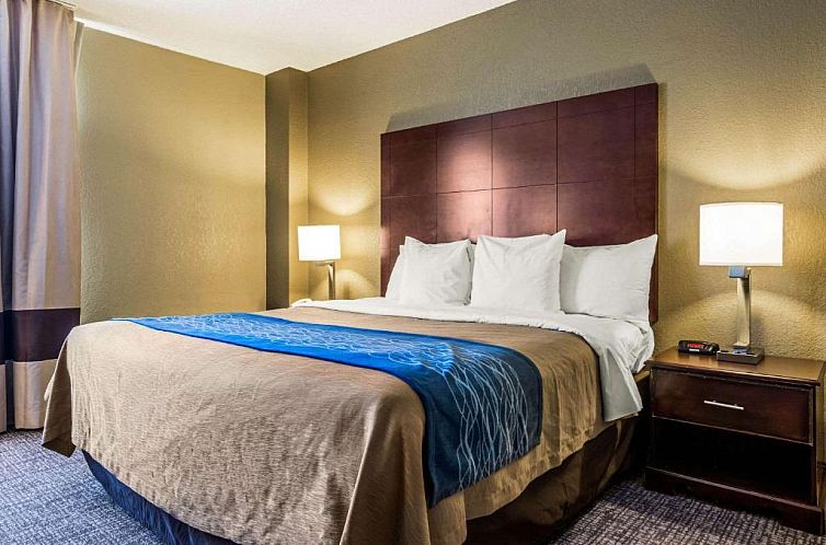 Comfort Inn Atlanta Downtown