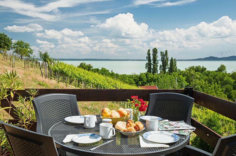 Vakantiehuis Kopacsi