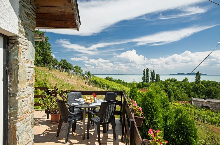 Vakantiehuis Kopacsi