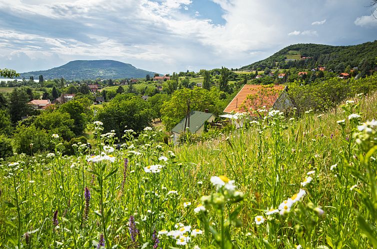 Vakantiehuis Kopacsi