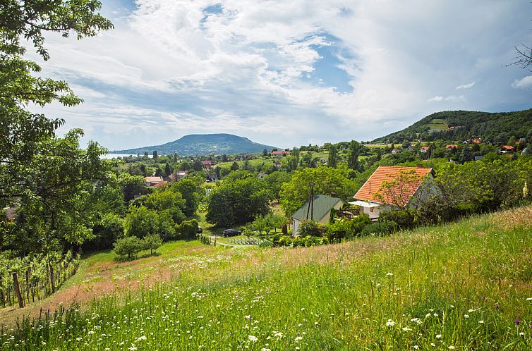 Vakantiehuis Kopacsi