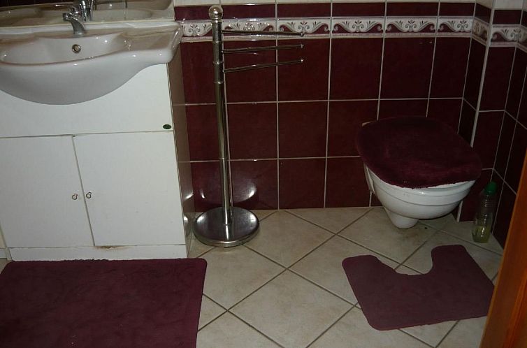 Appartement mit möblierter Terrasse