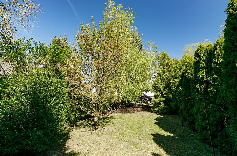 Vakantiehuis Mathias Rex