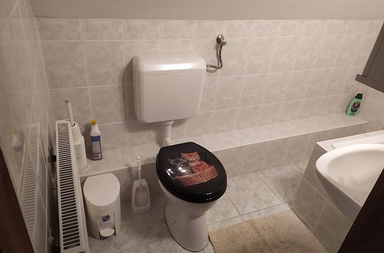 Vakantiehuis Ferienvilla mit Garten, Grill und Terrasse