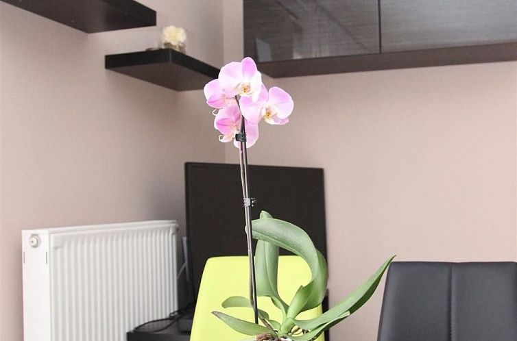 Appartement Dorina Wellness in Siofok
