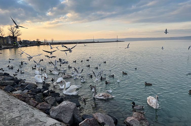 Appartement Dorina Wellness in Siofok