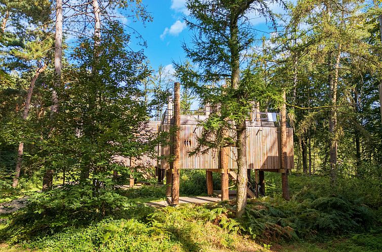 Guest house 0735618 - Holiday property Hainaut - The TreeLoft by YourNature