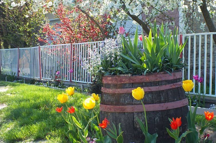 Vakantiehuis in Döbrököz mit privatem Pool