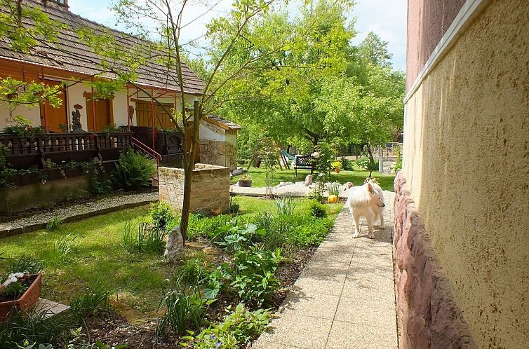 Vakantiehuis in Döbrököz mit privatem Pool
