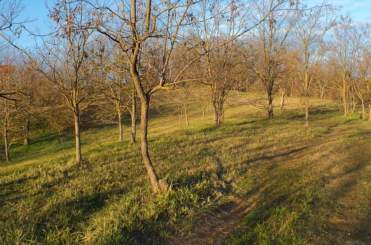 Vakantiehuis Müllers Ferienhaus Weinbergalm zum Wohlfühlen