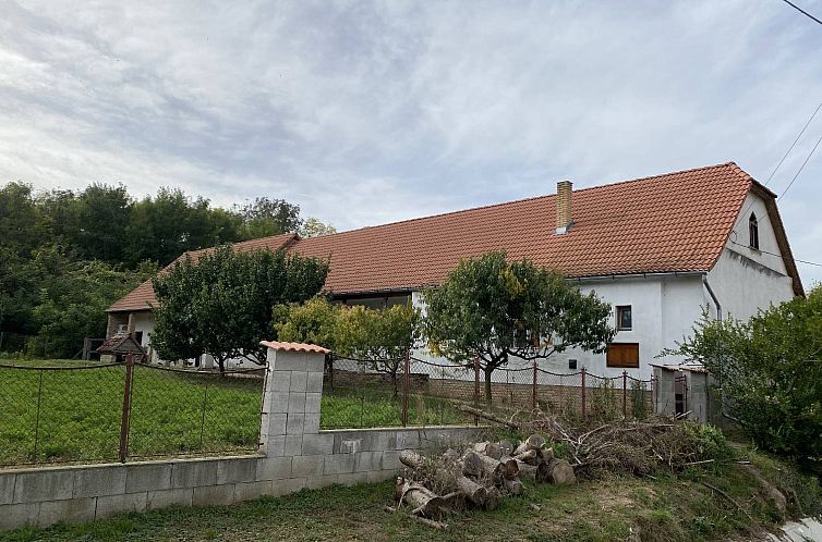 Unterkunft 0743501 - Ferienhaus Transdanubien - Vrijstaande woning in Kéty