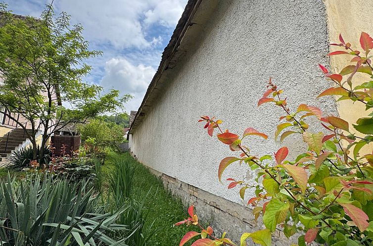 Vrijstaande woning in Tevel