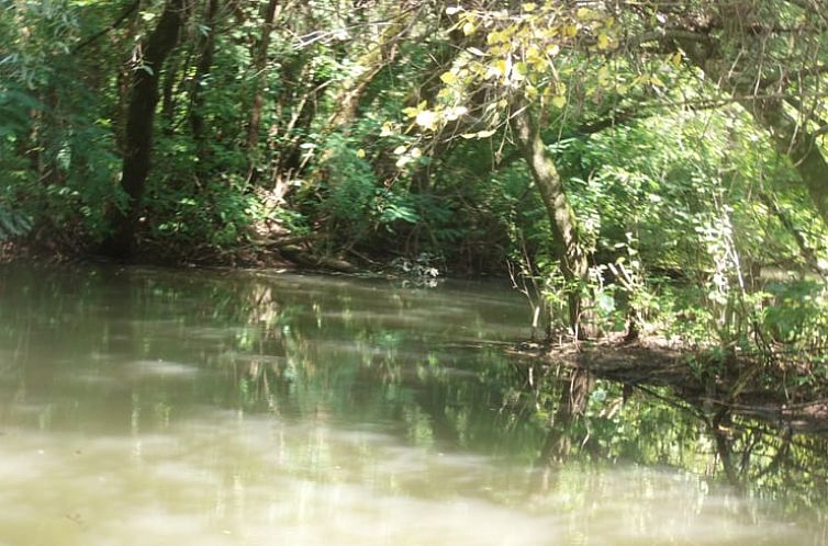 Vakantiehuisje in Tiszagyenda