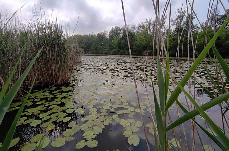 Vrijstaande woning in Hercegszántó - Budzsák
