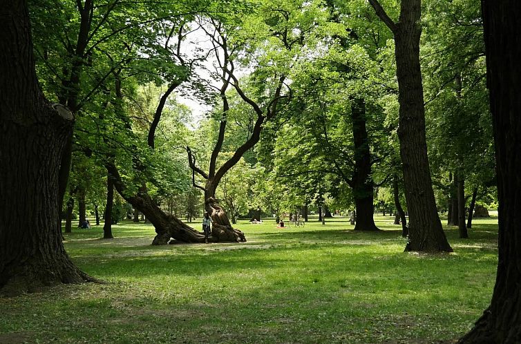 Appartement Moderne Ferienwohnung in Ujlipotvaros mit Garten