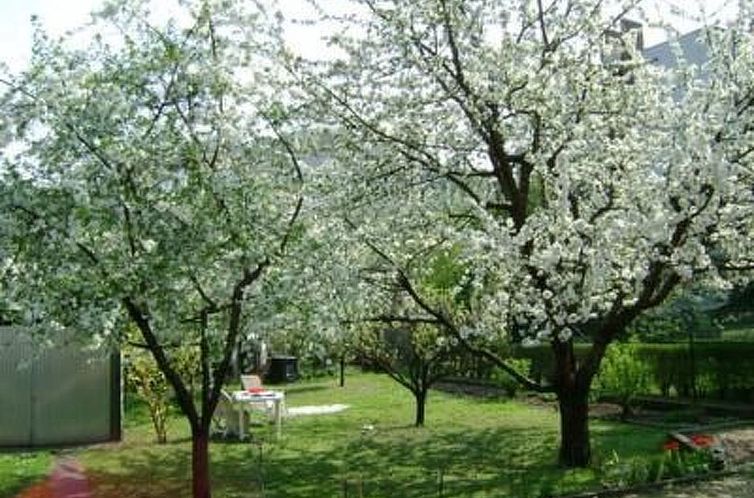 Vakantiehuis Haus in Budapest