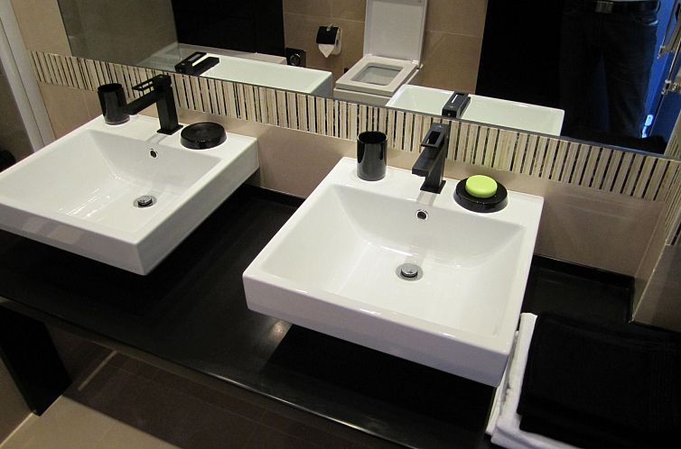 Appartement Penthouse mit Donaublick